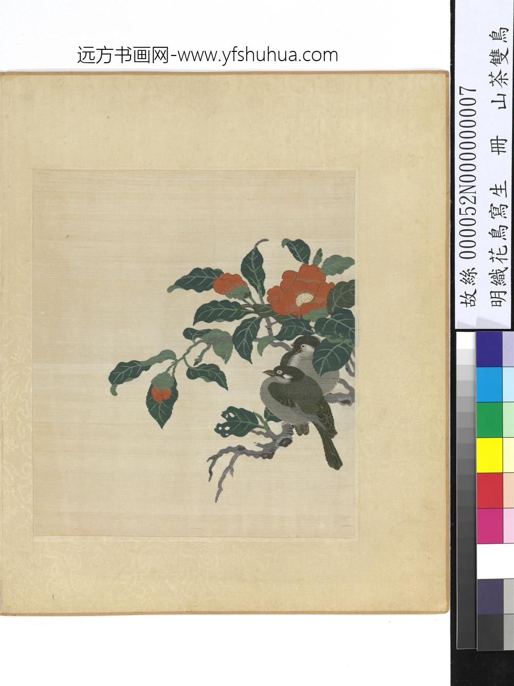 明织花鸟写生册-山茶双鸟