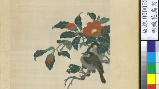 明织花鸟写生册 山茶双鸟.jpg