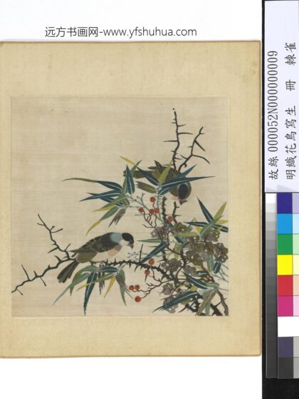 明织花鸟写生册 棘雀.jpg