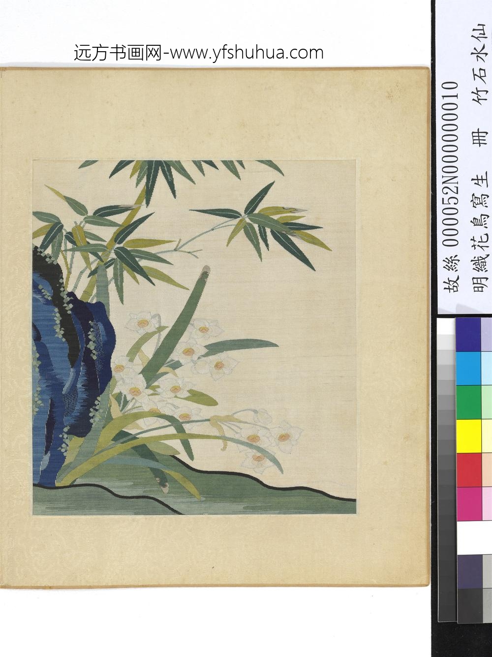 明织花鸟写生册-竹石水仙