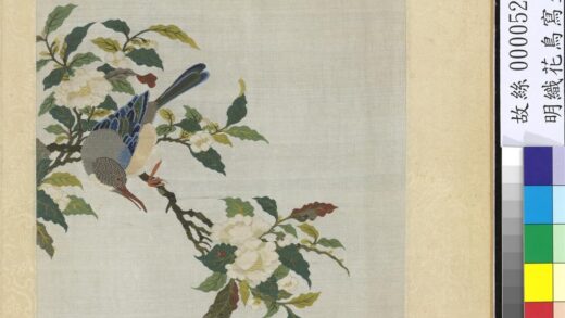 明织花鸟写生册 茶花翠鸟.jpg