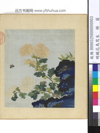 明织花鸟写生册 菊.jpg