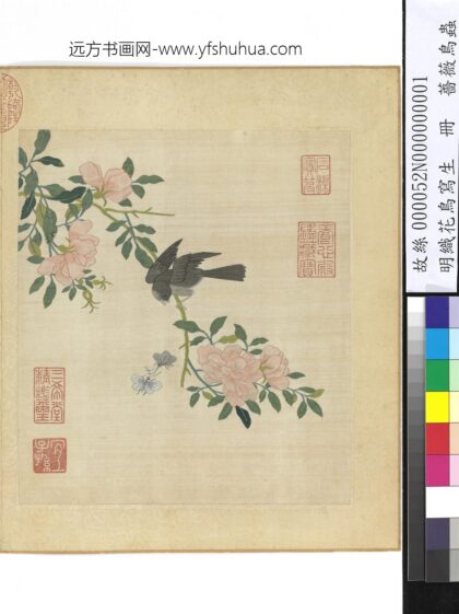 明织花鸟写生册 蔷薇鸟虫.jpg