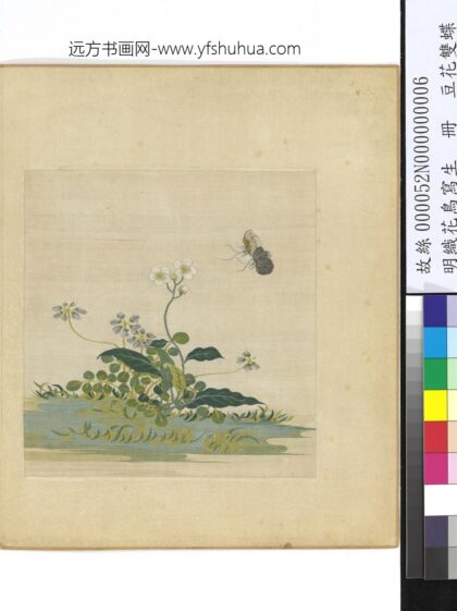 明织花鸟写生册 豆花双蝶.jpg