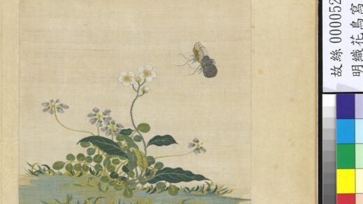 明织花鸟写生册 豆花双蝶.jpg