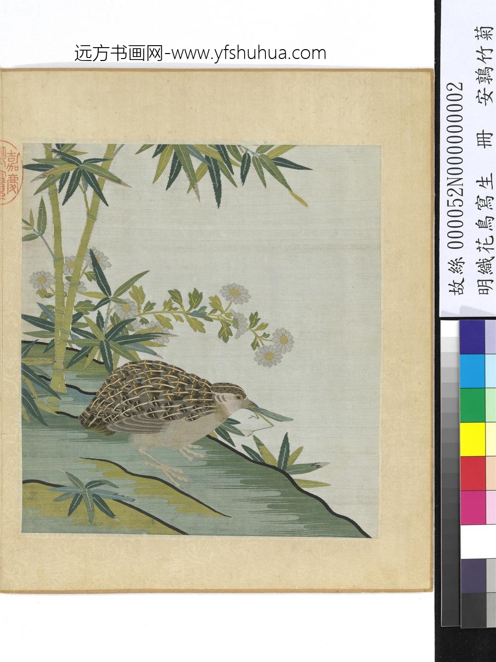 明织花鸟写生册-鹌鹑竹菊