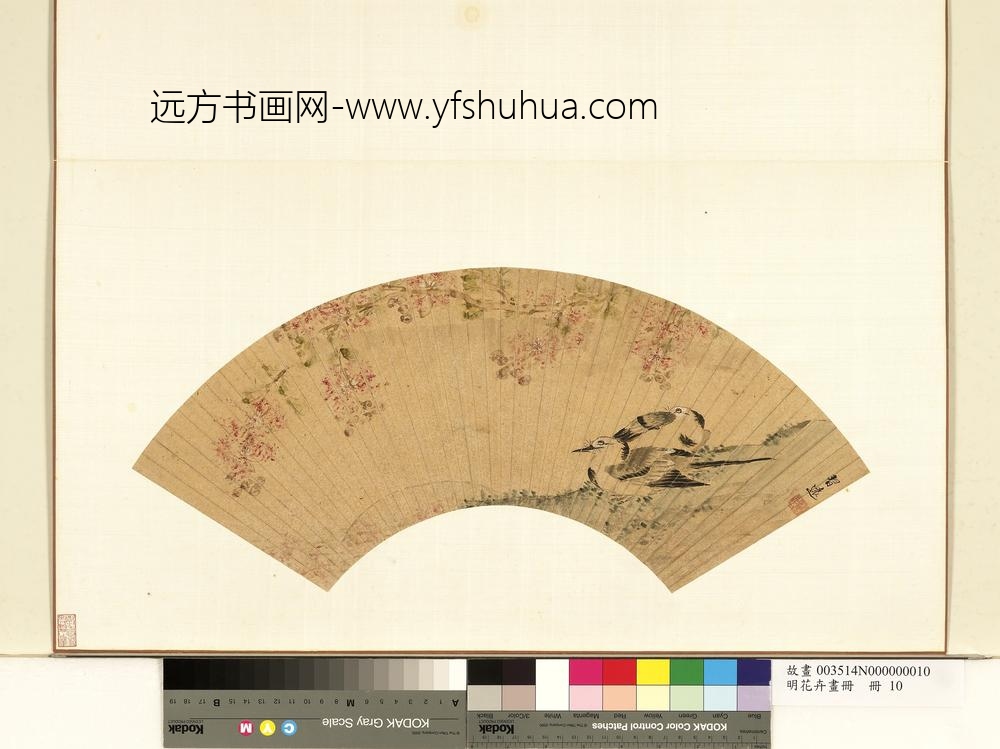 明花卉画册册-明习远紫薇鹡鸰