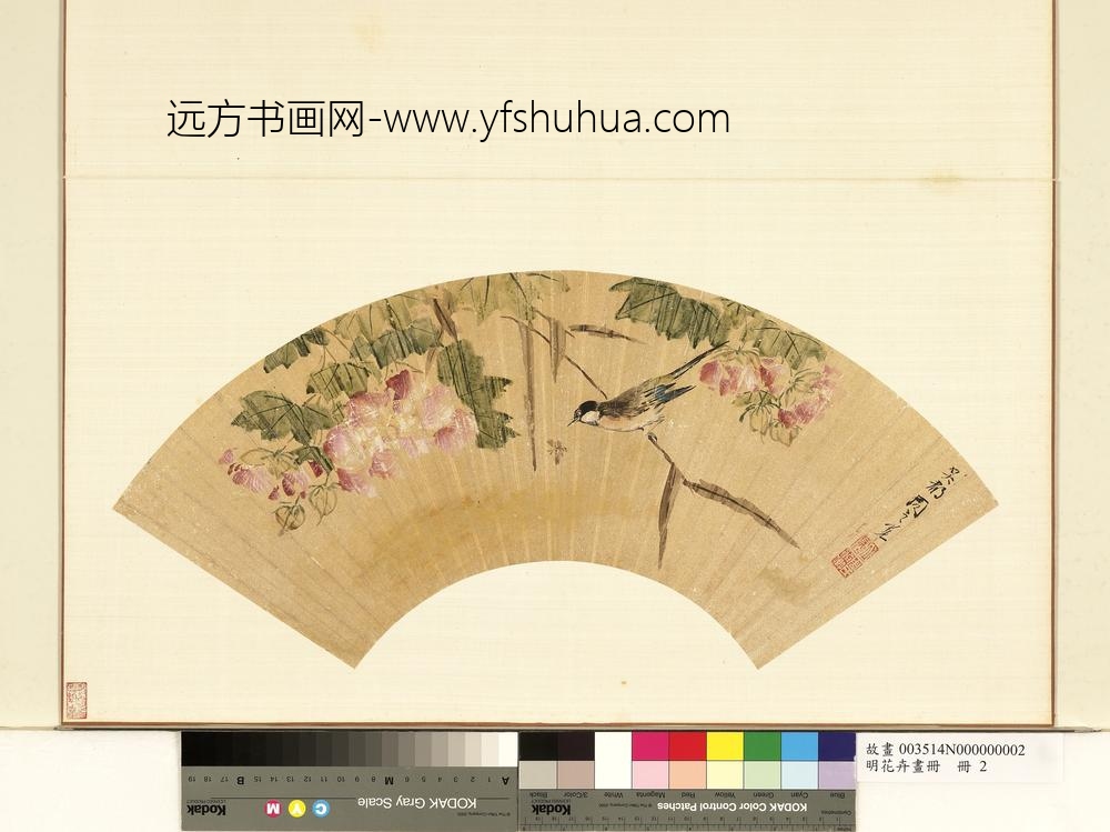 明花卉画册册-明周之冕芙蓉山雀