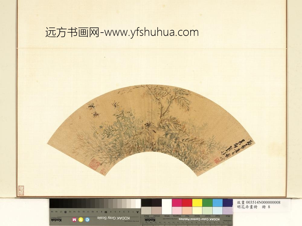 明花卉画册册-明陈遵菊花