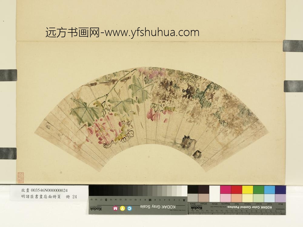 明诸臣书画扇面册页册-明周之冕芙蓉