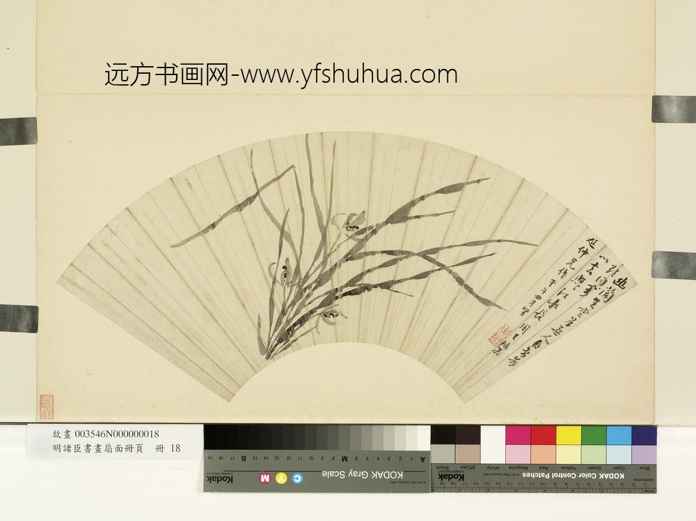 明诸臣书画扇面册页册-明周天球幽兰空谷