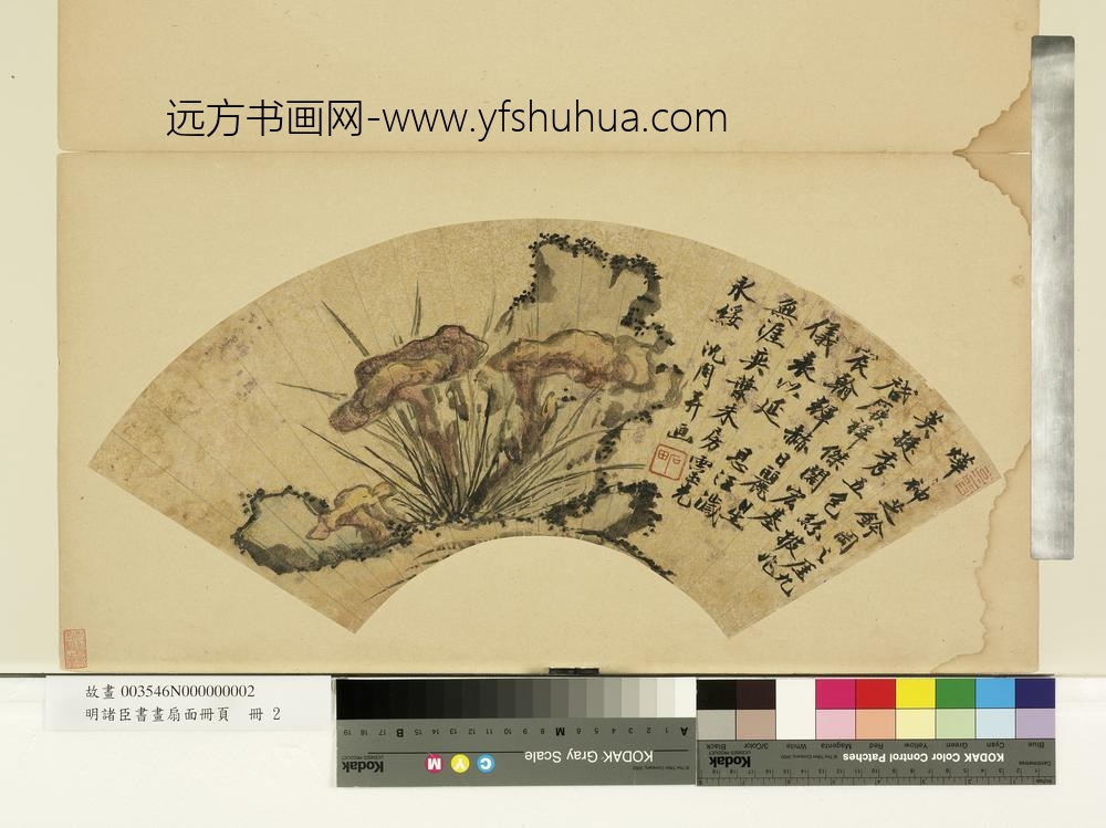 明诸臣书画扇面册页册-明沈周烨烨神芝