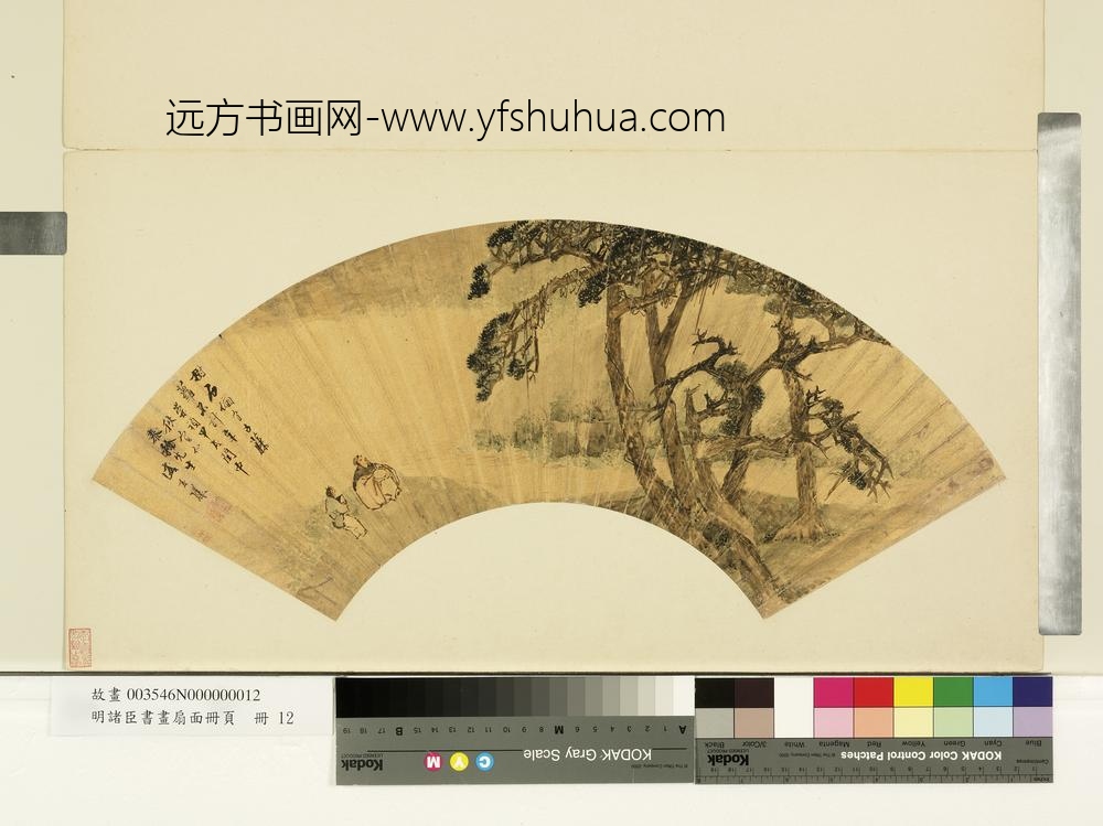 明诸臣书画扇面册页册-明盛茂烨树石藤萝