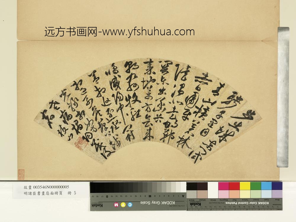 明诸臣书画扇面册页册-明祝允明草书步出城东