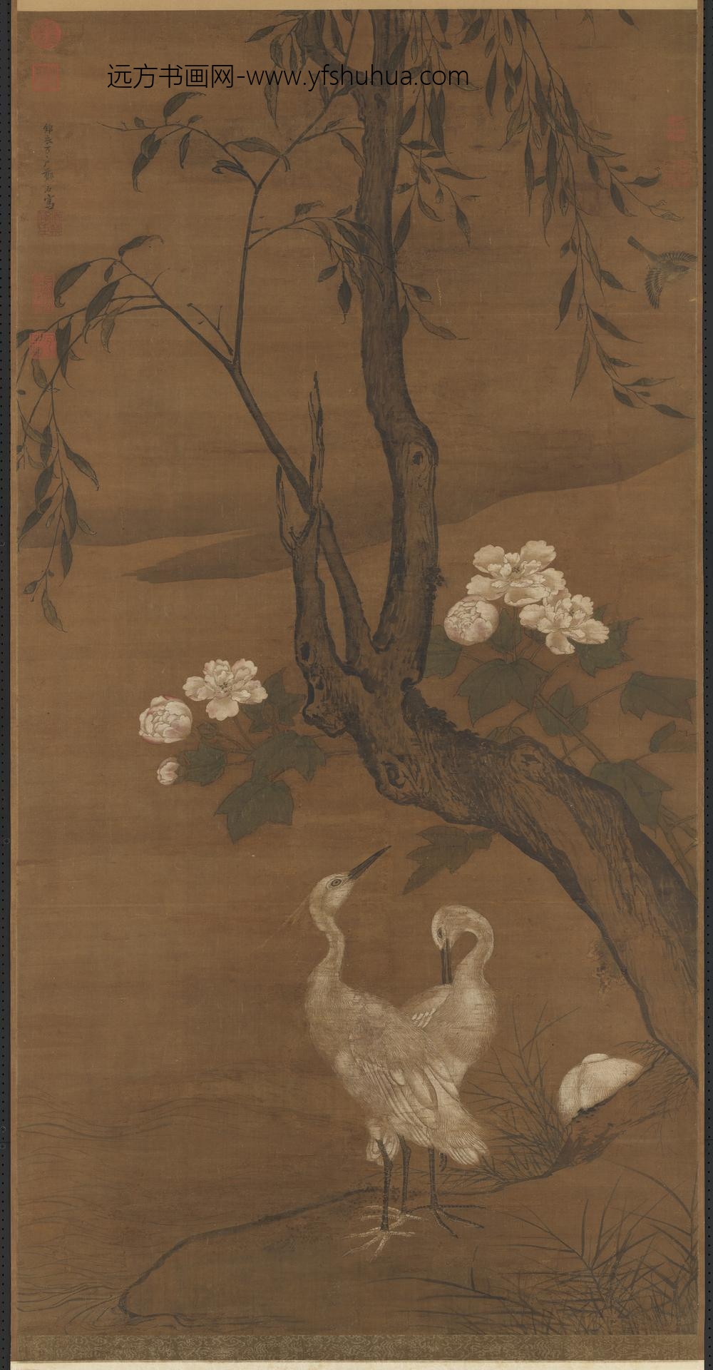 明郑石画芙蓉白鹭轴