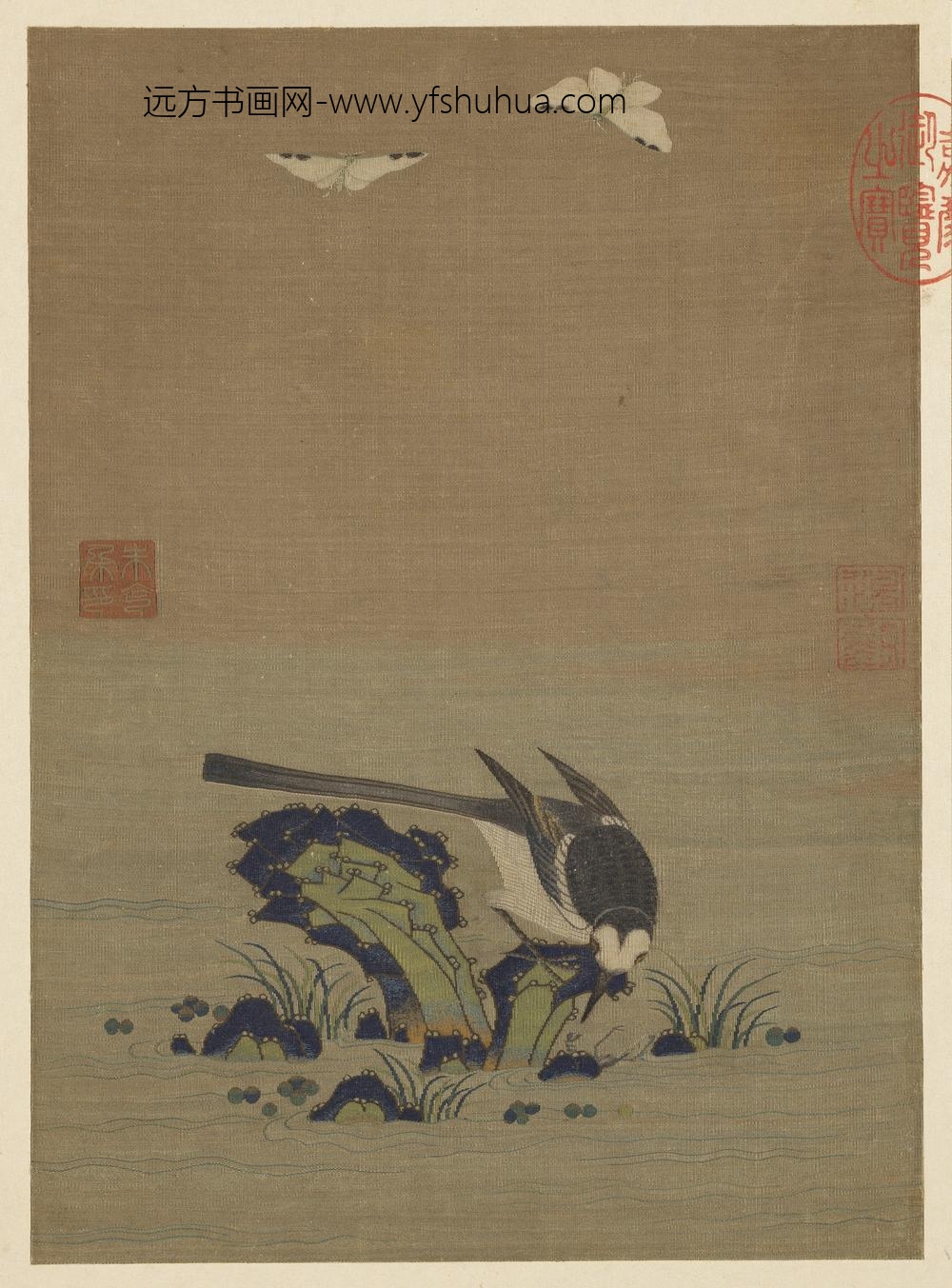 朱克柔-绘集锦册-鹡鸰