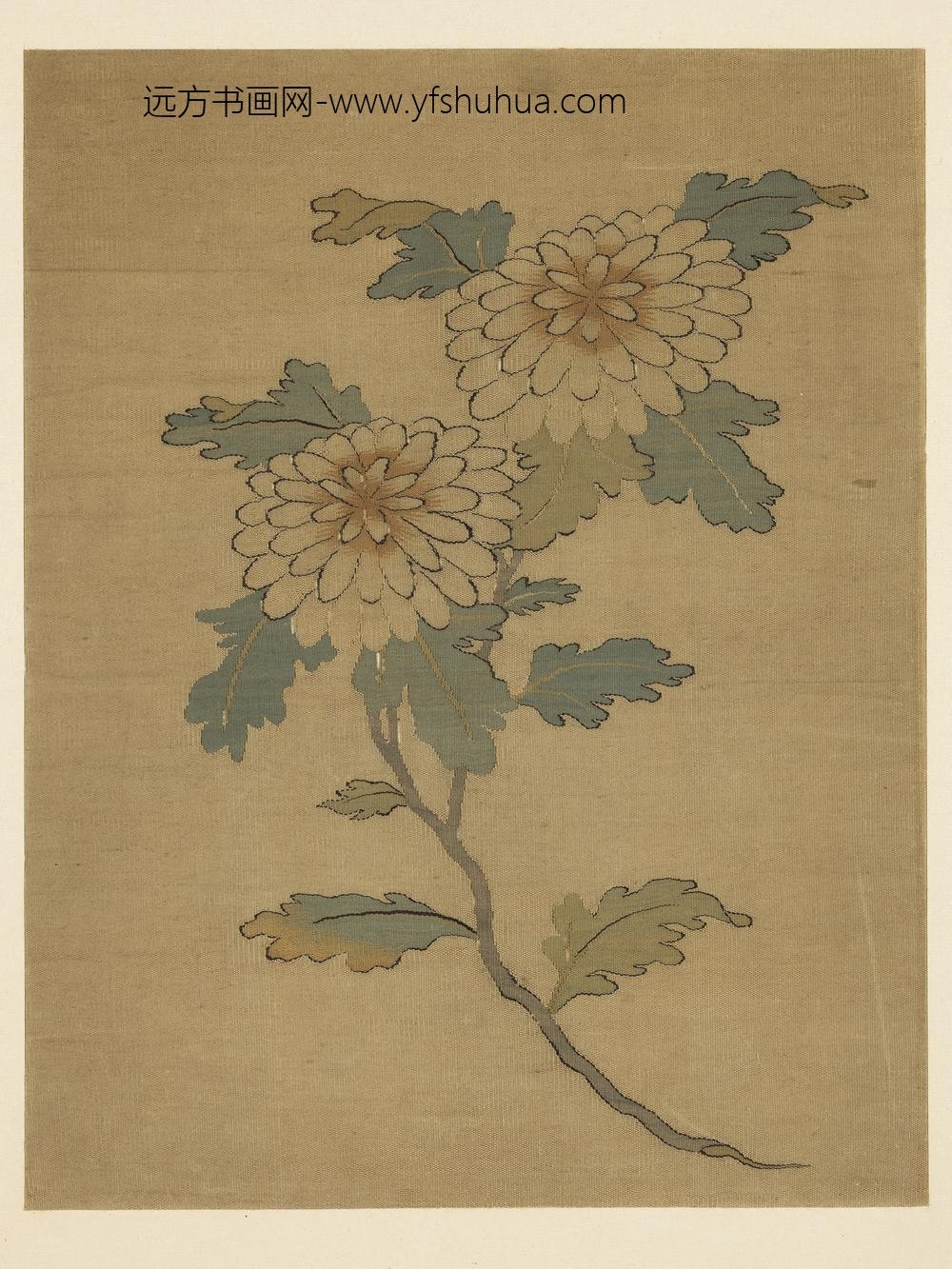 朱克柔镂绘集锦册-菊花