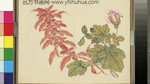 欢联庆节册 月季雁来红.jpg