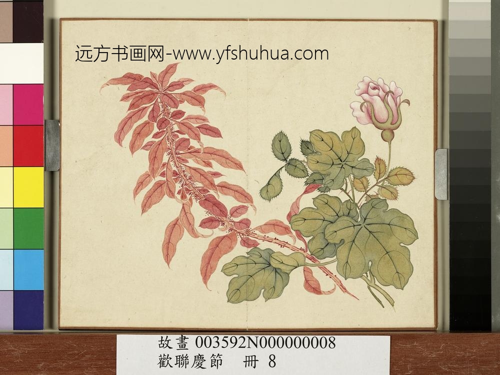 欢联庆节册-月季雁来红