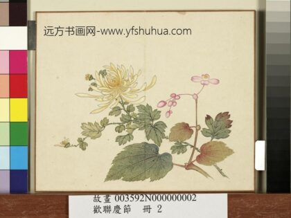 欢联庆节册 菊花秋海棠.jpg