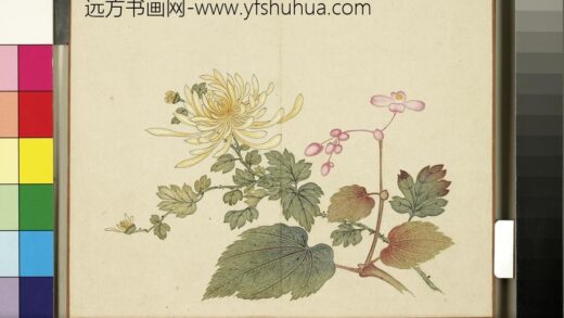 欢联庆节册 菊花秋海棠.jpg