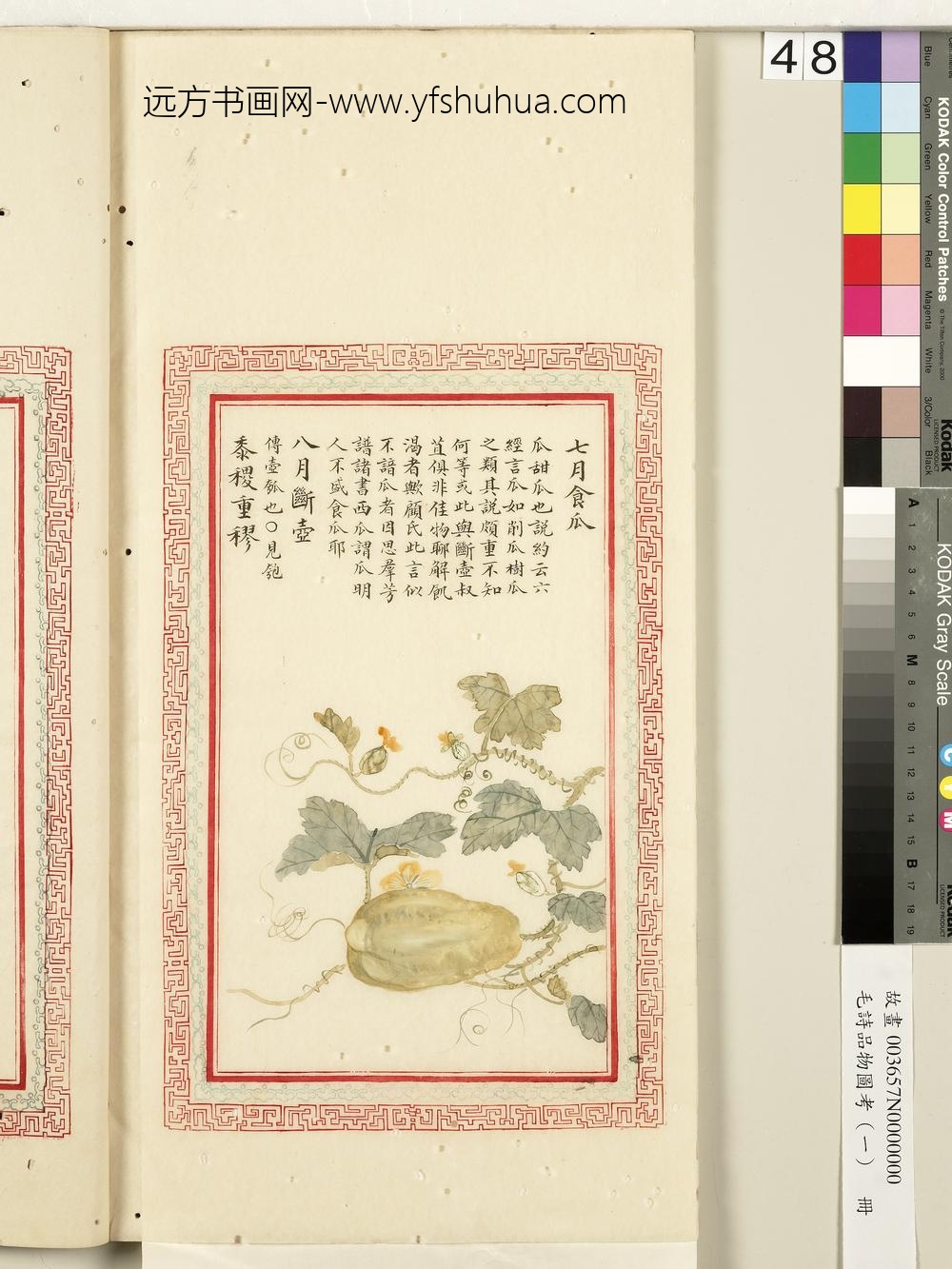 毛诗品物图考（一）册-七月食瓜八月断壶黍稷重穋-