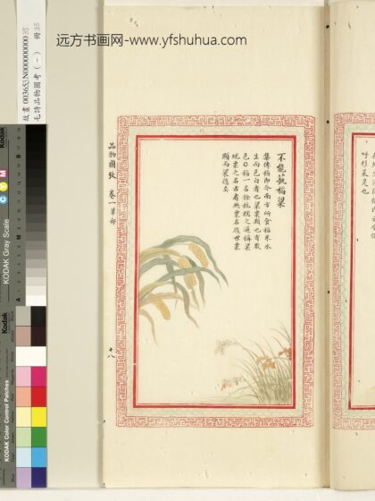 毛诗品物图考（一）册 不能蓺稻梁 1.jpg