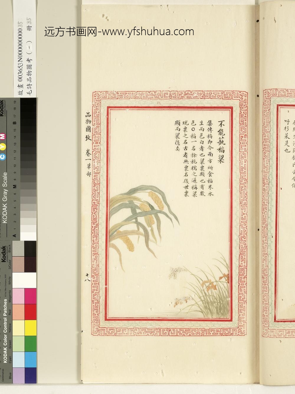 毛诗品物图考（一）册-不能蓺稻梁-