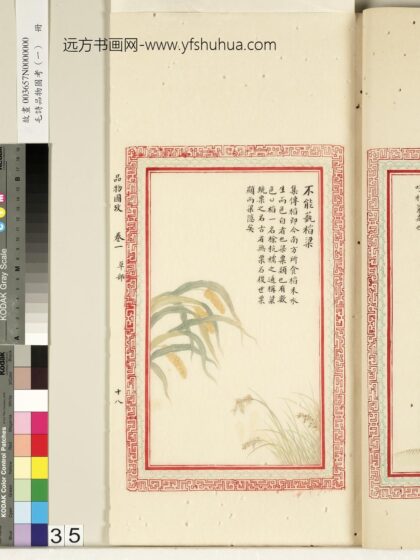 毛诗品物图考（一）册 不能蓺稻梁 2.jpg