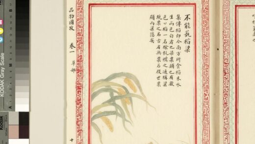 毛诗品物图考（一）册 不能蓺稻梁 2.jpg