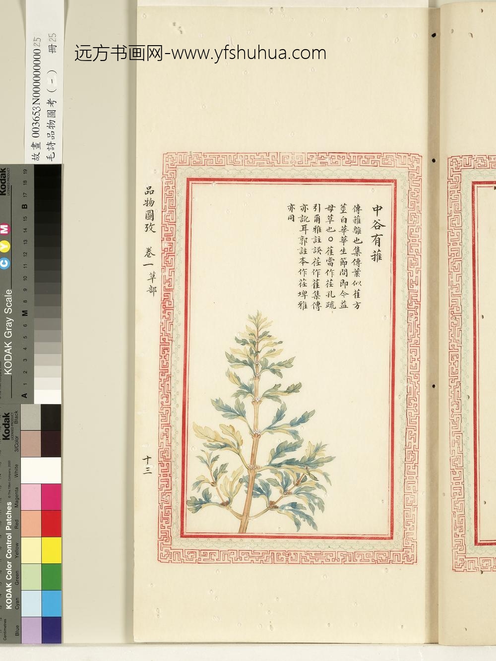 毛诗品物图考（一）册-中谷有蓷-