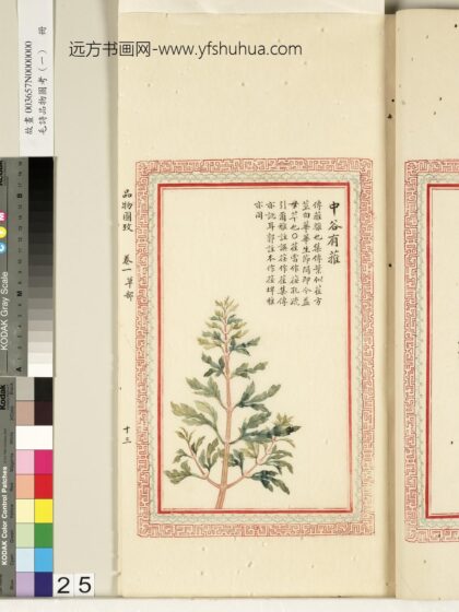 毛诗品物图考（一）册 中谷有蓷 2.jpg