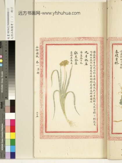 毛诗品物图考（一）册 九月叔苴献羔祭韭 1.jpg