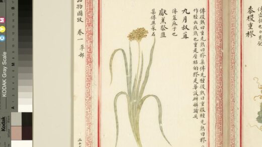 毛诗品物图考（一）册 九月叔苴献羔祭韭 1.jpg