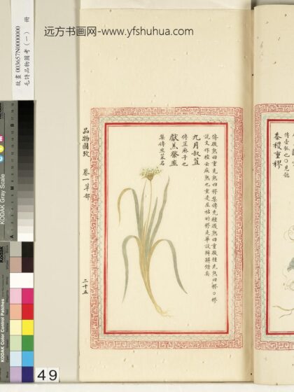 毛诗品物图考（一）册 九月叔苴献羔祭韭 2.jpg