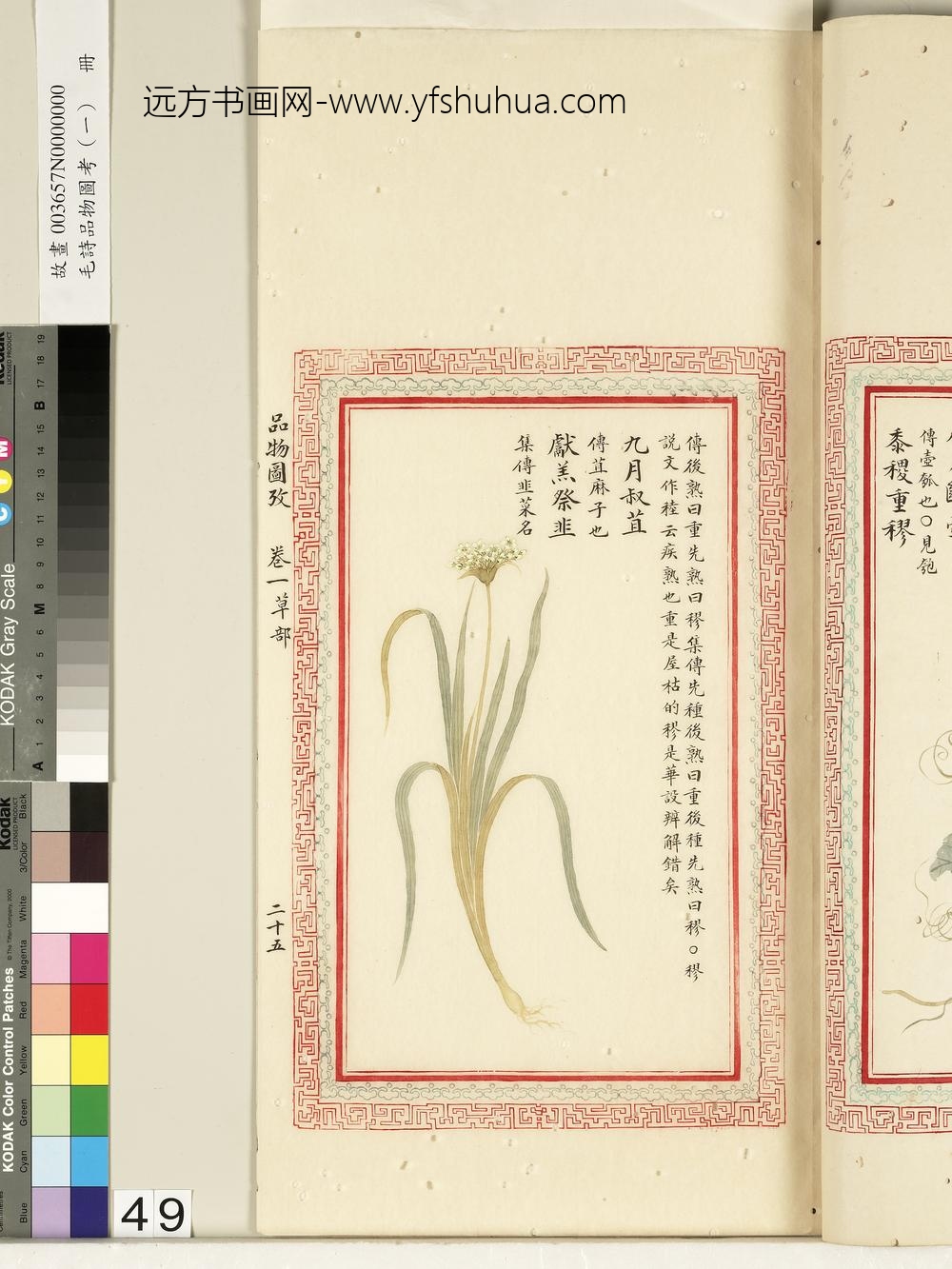 毛诗品物图考（一）册-九月叔苴献羔祭韭-