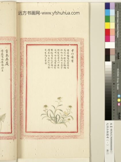 毛诗品物图考（一）册 于以采繁 1.jpg