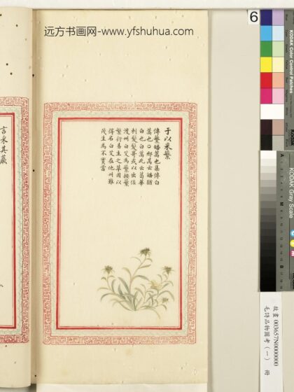 毛诗品物图考（一）册 于以采繁 2.jpg