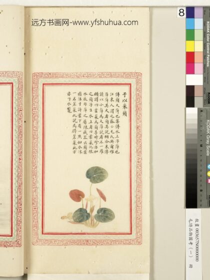 毛诗品物图考（一）册 于以采苹 2.jpg