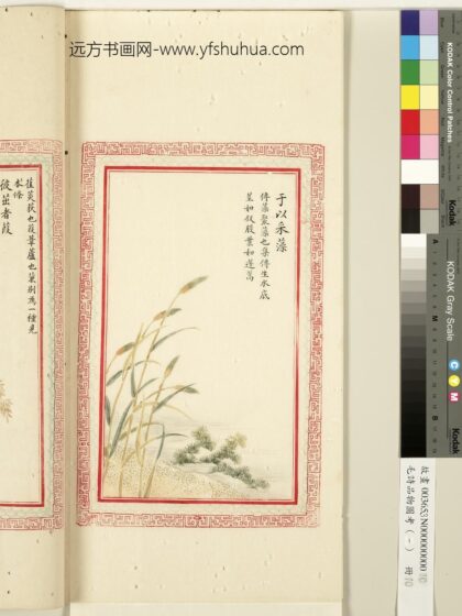 毛诗品物图考（一）册 于以采藻 1.jpg