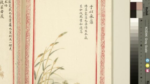 毛诗品物图考（一）册 于以采藻 1.jpg