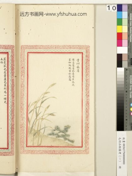 毛诗品物图考（一）册 于以采藻 2.jpg