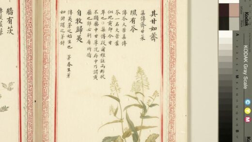 毛诗品物图考（一）册 其甘如荠隰有苓自牧归荑 1.jpg
