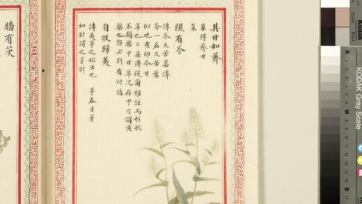 毛诗品物图考（一）册 其甘如荠隰有苓自牧归荑 2.jpg