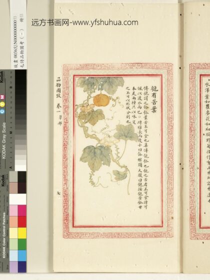 毛诗品物图考（一）册 匏有苦叶 1.jpg