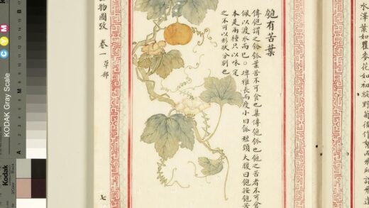 毛诗品物图考（一）册 匏有苦叶 1.jpg