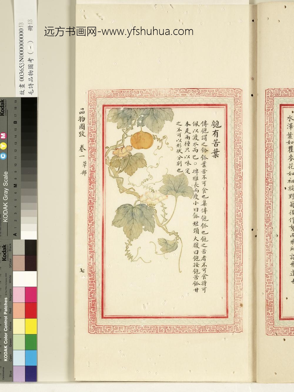 毛诗品物图考（一）册-匏有苦叶-