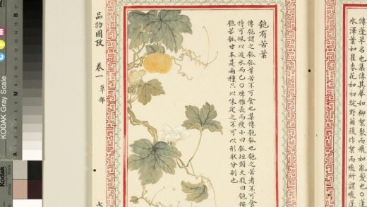 毛诗品物图考（一）册 匏有苦叶 2.jpg