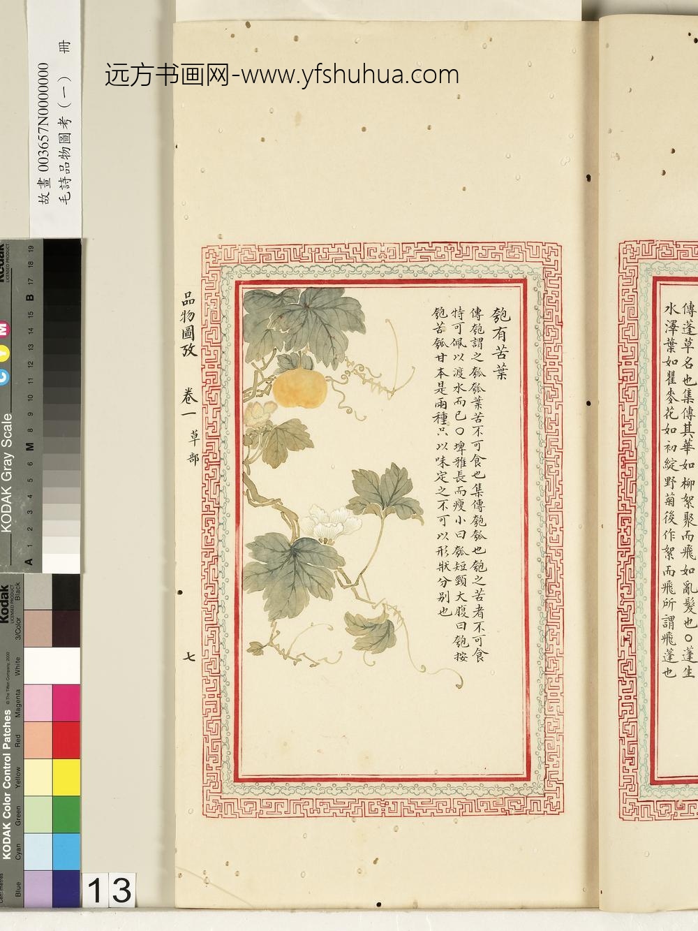 毛诗品物图考（一）册-匏有苦叶-