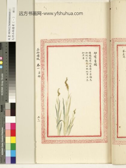 毛诗品物图考（一）册 卭有旨鹝 1.jpg